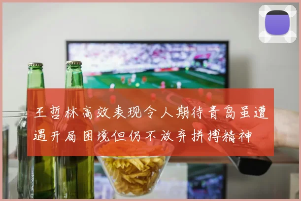 王哲林高效表现令人期待青岛虽遭遇开局困境但仍不放弃拼搏精神