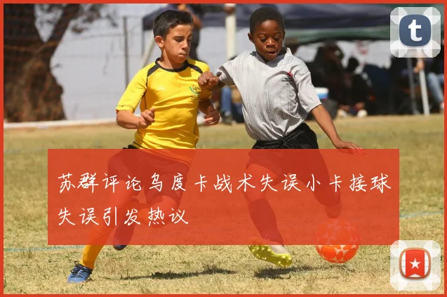 苏群评论乌度卡战术失误小卡接球失误引发热议